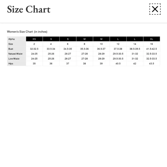 Max Studio Shift Dress - Picture 12 of 12